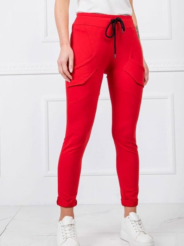 Tracksuit trousers model 166221 BFG