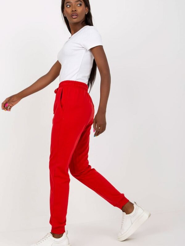 Tracksuit trousers model 169723 BFG - Image 2