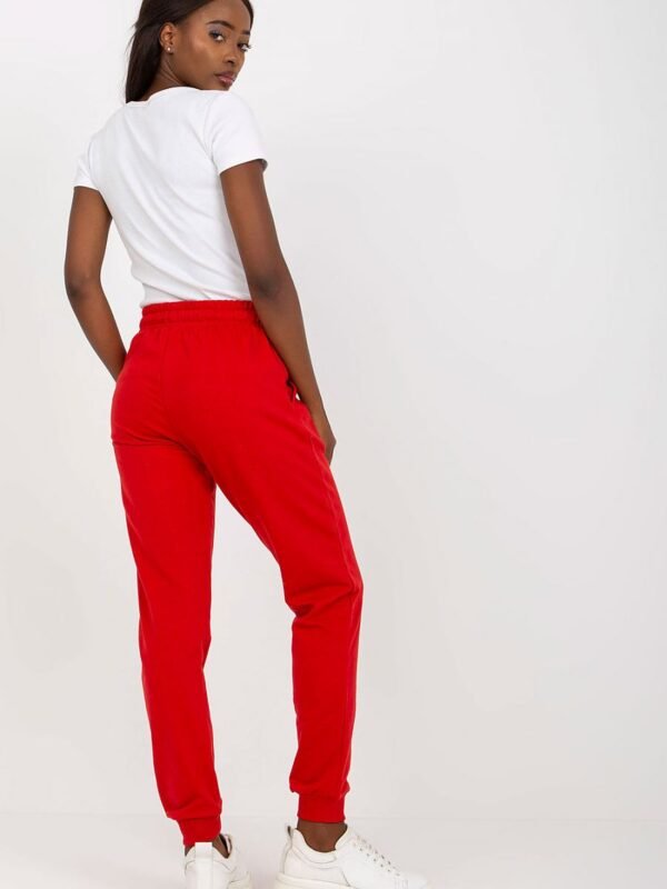 Tracksuit trousers model 169723 BFG - Image 3