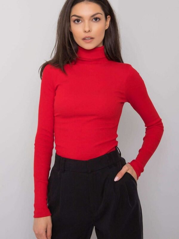 Turtleneck model 173403 Rue Paris