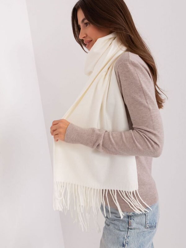 Shawl model 185893 AT - Image 2