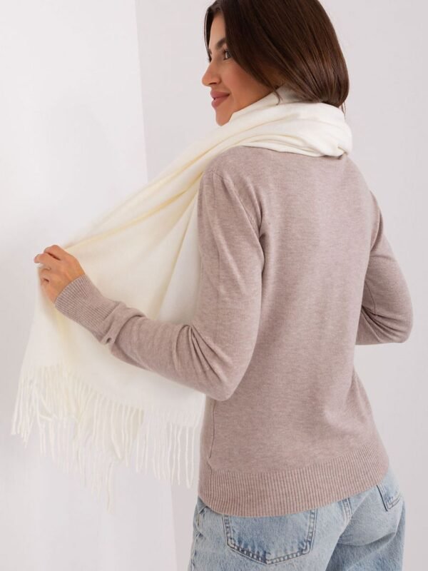 Shawl model 185893 AT - Image 3