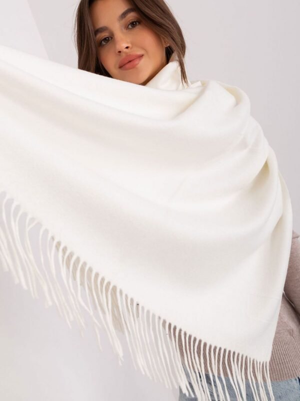 Shawl model 185893 AT - Image 4