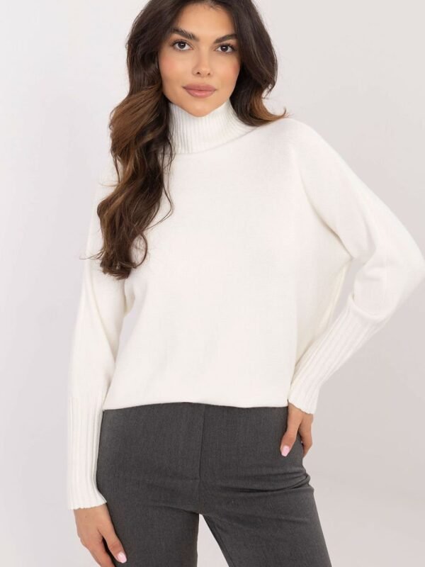 Turtleneck model 203023 BFG